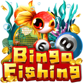 Bingo Fishing at jilitt 2026