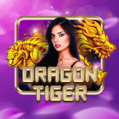 Dragon Tiger live at jilitt 2026